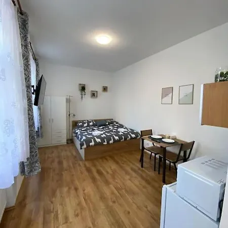 Cozy 1 Bedroom In The Center Of Plzen
