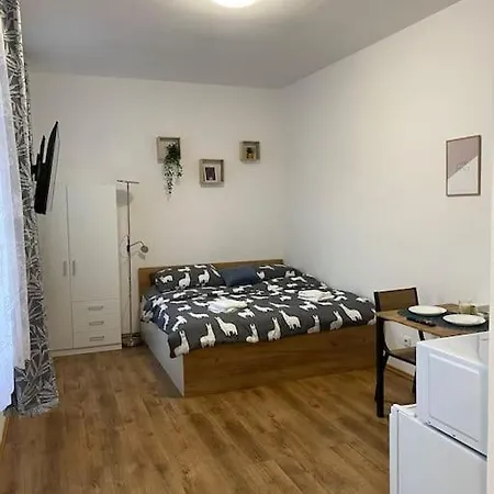 Apartmán Comfortable Centre For 2 By Ap Plzeň