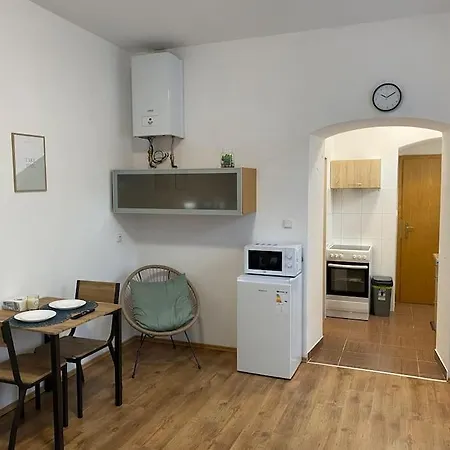 Apartment Cozy 1 Bedroom In The Center Of Pilsen