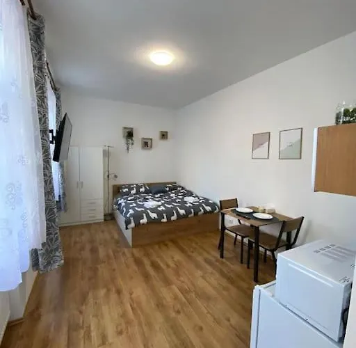 Cozy 1 Bedroom In The Center Of Plzen