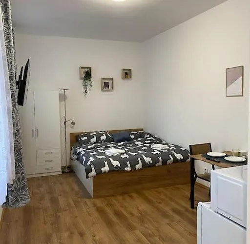 Apartment Cozy 1 Bedroom In The Center Of Plzen